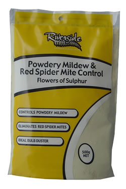 Powdery Mildew & Red Spider Mite Control